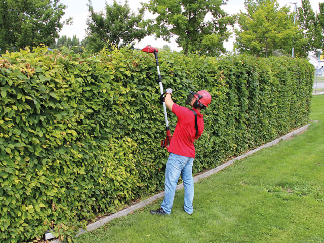 Einhell GE-HC 18 Li T-Solo High Trimmer & Pruner 18V Bare Unit – – Now available at MTN Shop UK. - imagen 4
