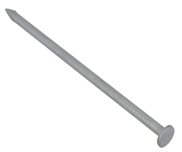 Batten Nails Galvanised