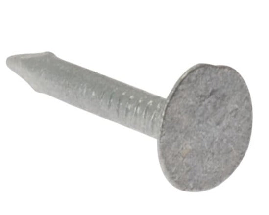 Clout Nail Extra Large Head Galvanised