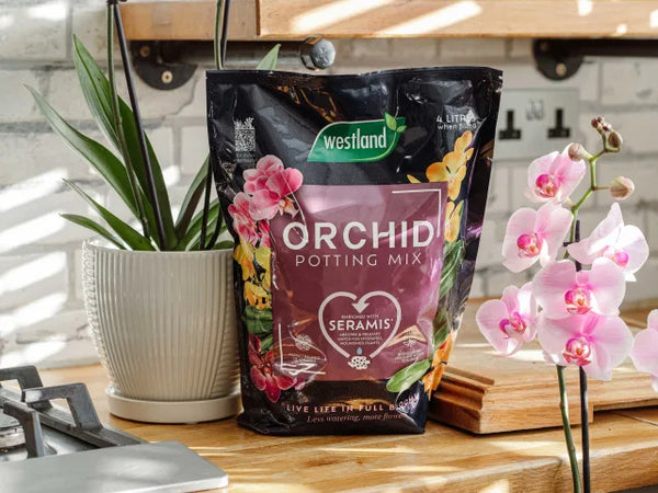 Westland Orchid Potting Mix 4 litre – – Now available at MTN Shop UK.