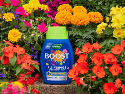 Westland Boost All Purpose Liquid Plant Feed 1 litre – – Now available at MTN Shop UK.