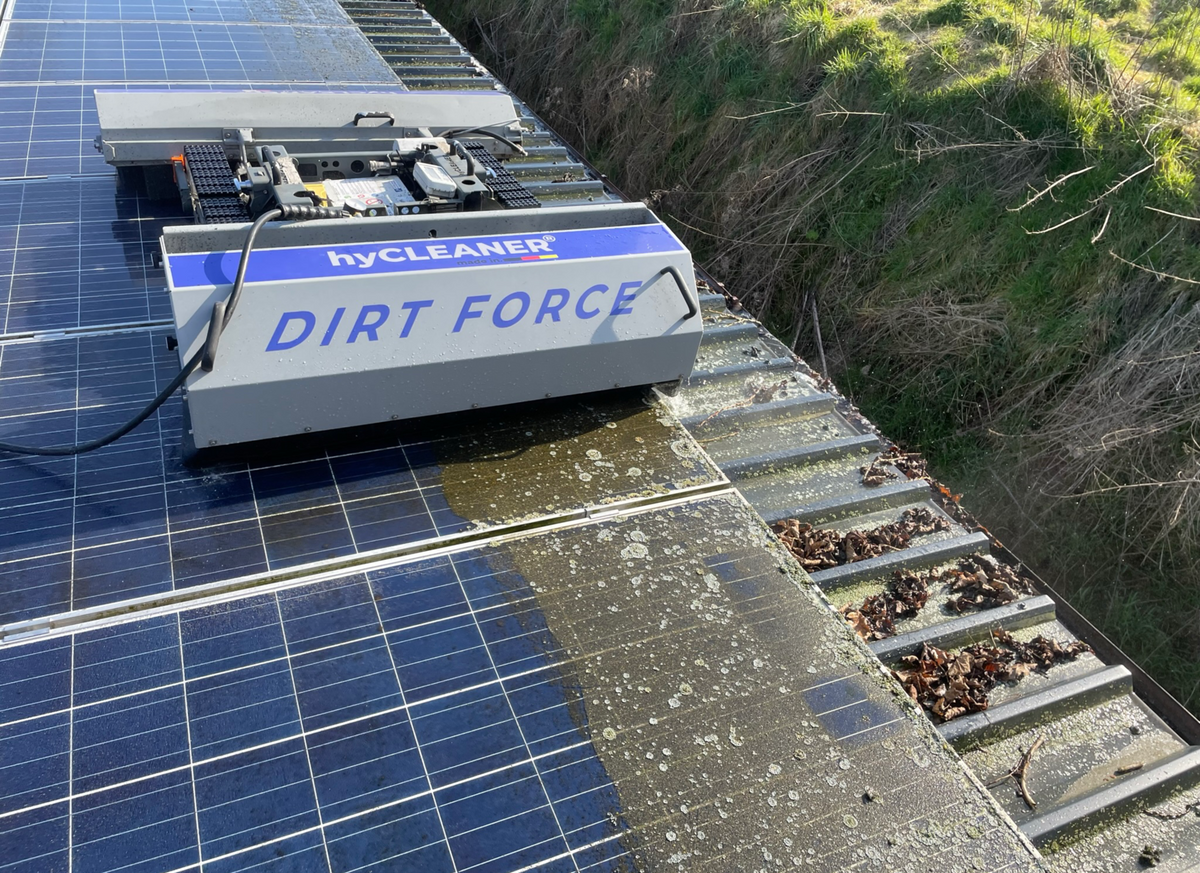 hyCLEANER® DIRT FORCE Lichen Remover for solarROBOT Pro - imagen 4