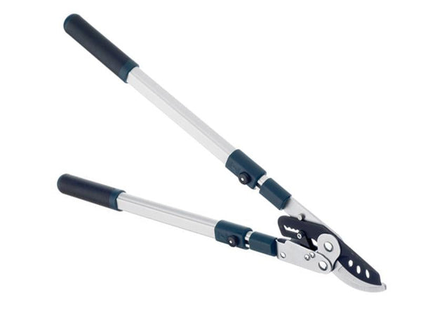 Bulldog BD3113TW Evergreen Extending Bypass Loppers – – Now available at MTN Shop UK.
