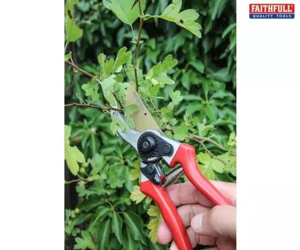 Prof Bypass Secateur - imagen 3