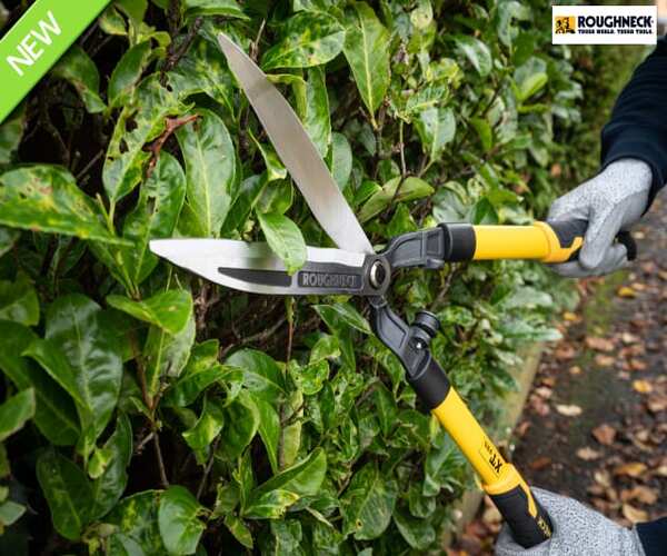 Hedge Shears - imagen 5