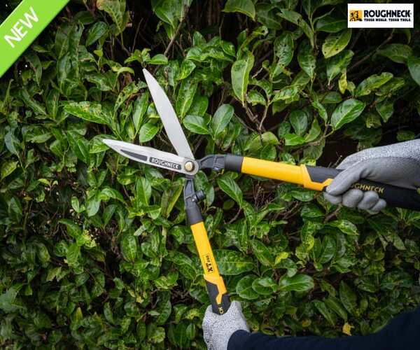 Hedge Shears - imagen 9