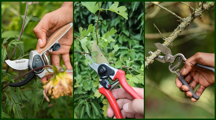 How to Choose the Right Secateurs: Types, Uses and Key Features
