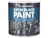 Paints