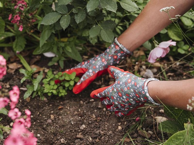 Gardening & Landscaping Tools & Equipment