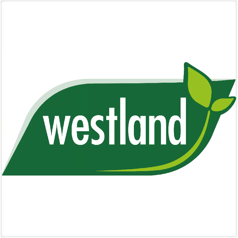 Westland– Now available at MTN Shop UK.
