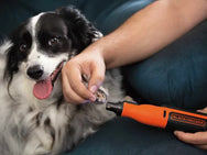 BLACK + DECKER BCRT8IK Rotary Tool 7.2V – – Now available at MTN Shop UK. - imagen 10