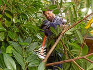 BLACK + DECKER BEHTS401 Hedge Strimmer® with Saw Blade 55cm 500W 240V – – Now available at MTN Shop UK. - imagen 4