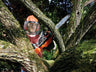 BLACK + DECKER GKC1825L20 Cordless Chainsaw 25cm Bar 18V 1 x 2.0Ah Li-ion – – Now available at MTN Shop UK.
