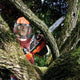 BLACK + DECKER GKC1825L20 Cordless Chainsaw 25cm Bar 18V 1 x 2.0Ah Li-ion