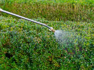 Batavia MAXXPACK Pressure Sprayer 7.5 litre 18V Bare Unit – – Now available at MTN Shop UK. - imagen 6