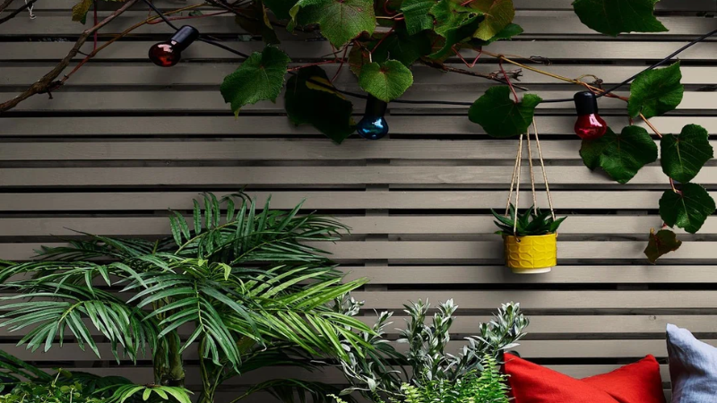 Best for Garden Colour: Cuprinol Garden Shades