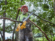 DEWALT DCMCS575N XR FlexVolt Chainsaw 50cm Bar 54V Bare Unit – – Now available at MTN Shop UK. - imagen 3
