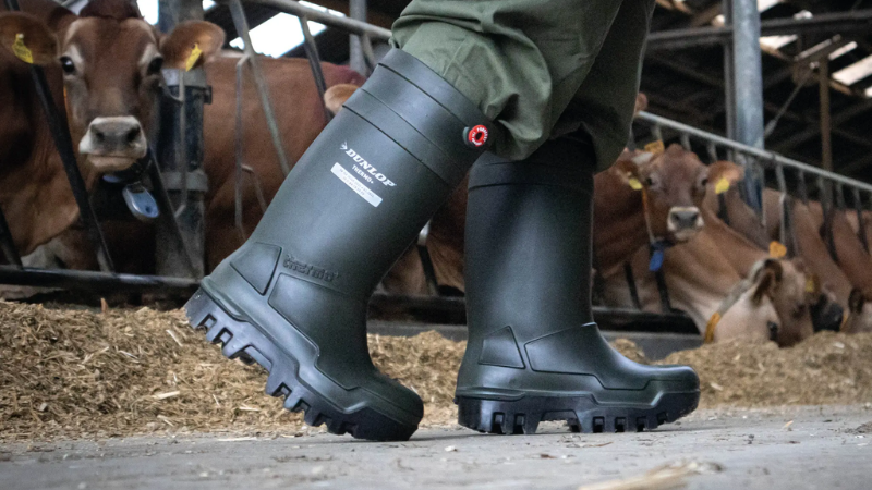 Cold Weather Safety Boots