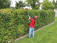 Einhell GE-HC 18 Li T-Solo High Trimmer & Pruner 18V Bare Unit – – Now available at MTN Shop UK. - imagen 4