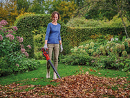 Einhell GE-UB 18/250 Li E-Solo Power X-Change Leaf Blower 18V Bare Unit – – Now available at MTN Shop UK. - imagen 6