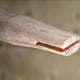Faithfull FSC Hickory Pin Hammer Handle 279mm (11in)