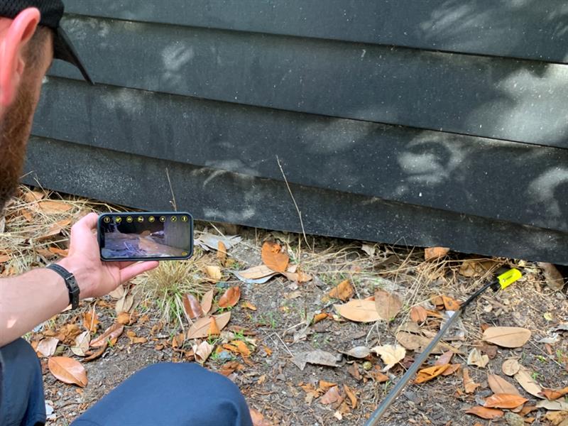 FERRET Ferret Stick Mini