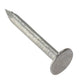 ForgeFix Clout Nail Galvanised 50mm (500g Bag)