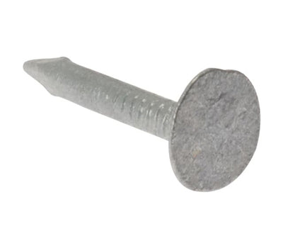 Clout Nail Extra Large Head Galvanised