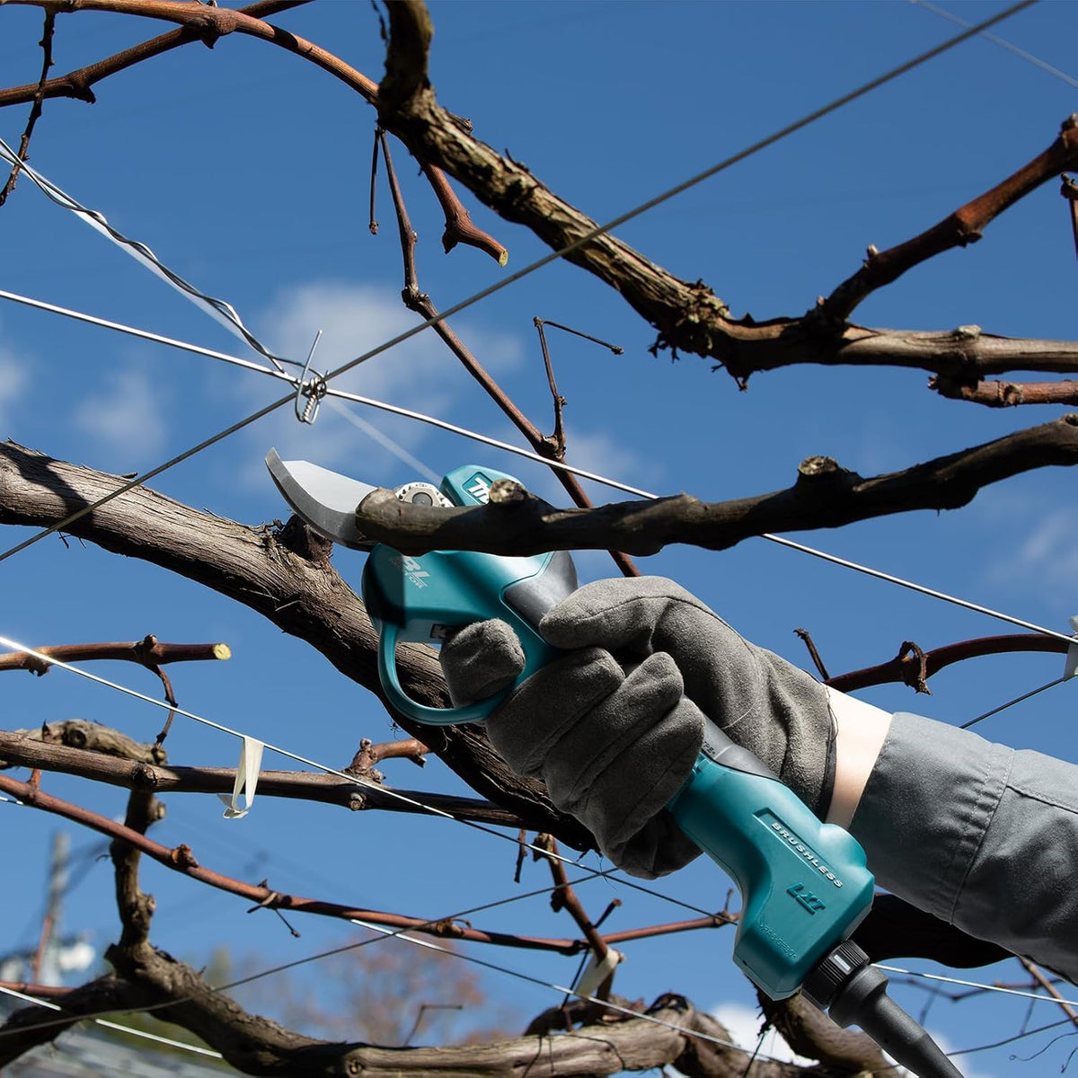 Makita - Makita DUP180RT LXT Pruning Shear 18V 1 x 5.0Ah Li-ion - Electric pruning shears cutting vine branches outdoors. - imagen 4