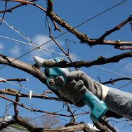 Makita - Makita DUP180RT LXT Pruning Shear 18V 1 x 5.0Ah Li-ion - Electric pruning shears cutting vine branches outdoors. - imagen 4