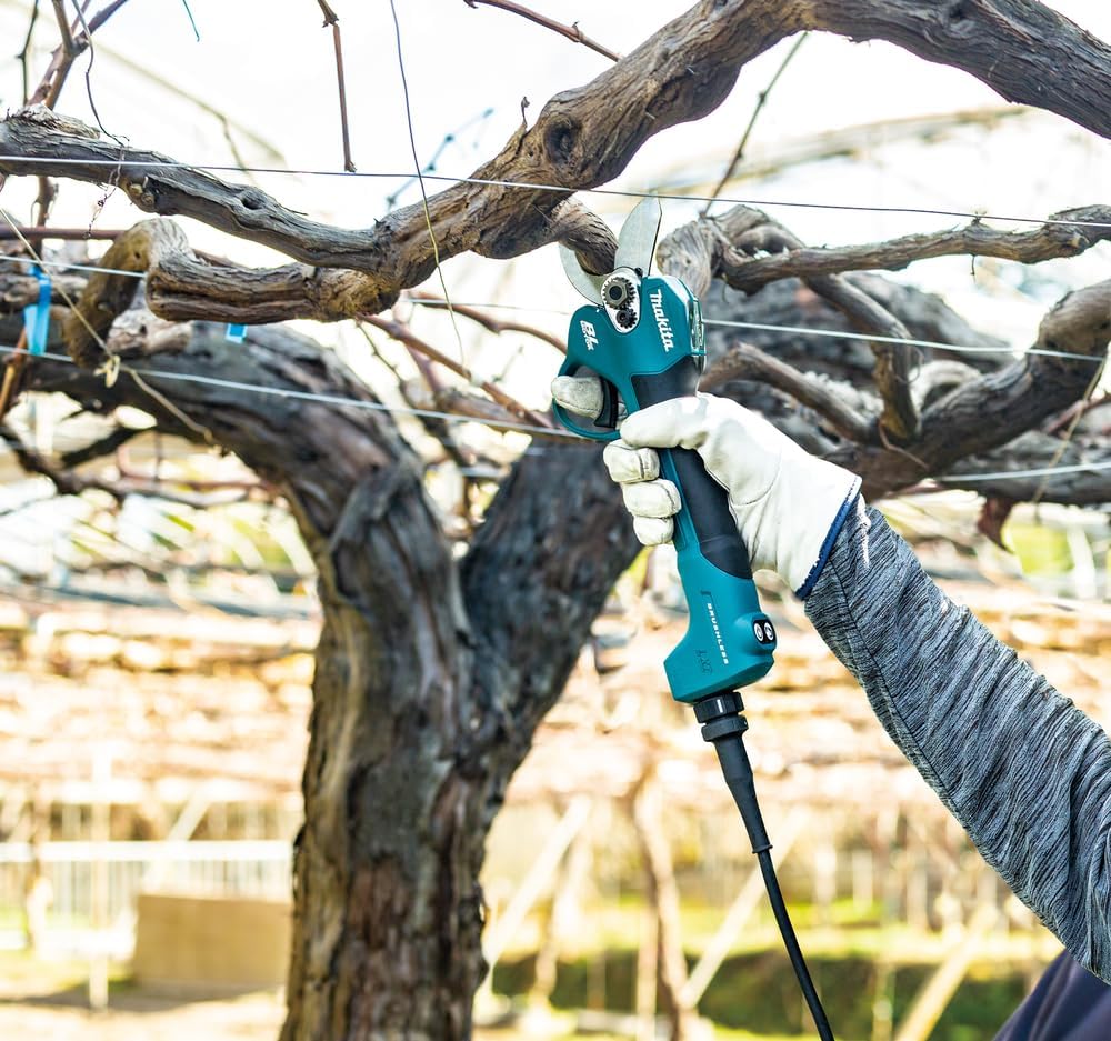 Makita - Makita DUP180RT LXT Pruning Shear 18V 1 x 5.0Ah Li-ion - Electric cordless pruning shears cutting grapevine branch. - imagen 5