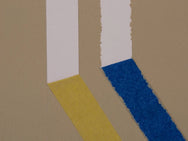 Shurtape FrogTape® Delicate Surface Masking Tape 48mm x 41.1m – – Now available at MTN Shop UK.