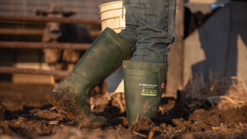 S5 Safety Boots