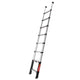 Telesteps Prime Line Telescopic Ladder 2.6m