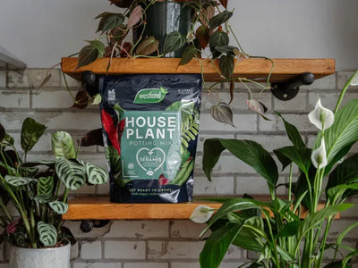 Westland Houseplant Potting Mix 4 litre – – Now available at MTN Shop UK.