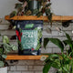 Westland Houseplant Potting Mix 4 litre
