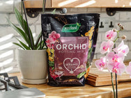 Westland Orchid Potting Mix 4 litre – – Now available at MTN Shop UK.