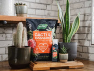 Westland Cacti & Succulent Potting Mix 4 litre – – Now available at MTN Shop UK. - imagen 2