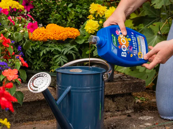 Westland Boost All Purpose Liquid Plant Feed 1 litre – – Now available at MTN Shop UK.