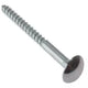 ForgeFix Mirror Screw Chrome Domed Top Slotted CSK ST ZP 2in x 8 Bag 10