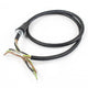 Power Cord V2 LVC