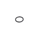 O-Ring Gear End