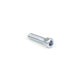 Loose End Screw