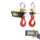 Ron Crane Scales™ Ron 2150 Wired Crane Scale with 2"/50mm Attachable Display