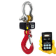 Ron Crane Scales™ Ron 2501 Wireless Crane Scale