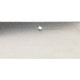 Bulldog  Blade for 1190 Floor Scraper