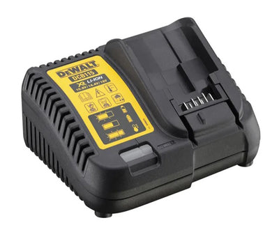 Multi-Voltage Charger