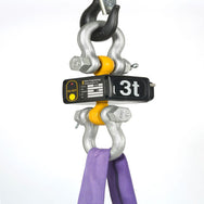 Ron StageMaster™ Wireless Classic Load Cell Kit w/ Standard Receiver – – Now available at MTN Shop UK. - imagen 4