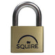 Squire LN4 Lion Brass Padlock 5-Pin 40mm