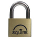 Squire LN5 Lion Brass Padlock 5-Pin 50mm